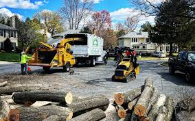 Best Residential Tree Removal  in USA